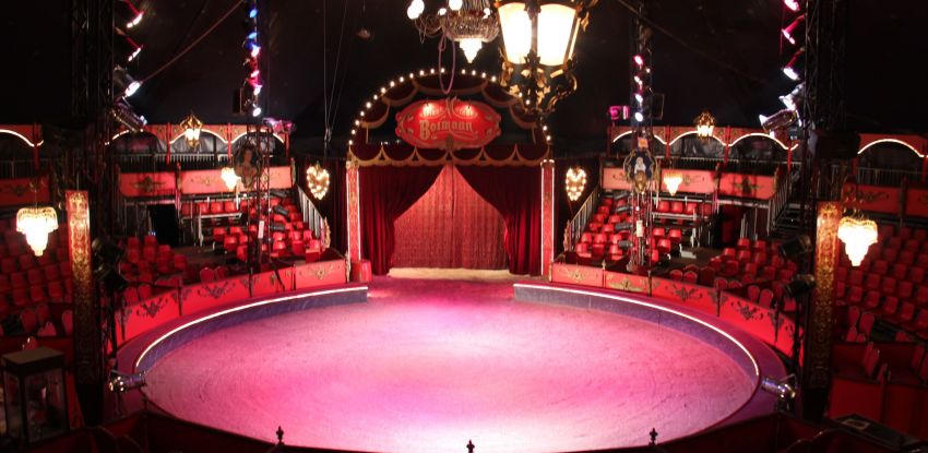 Nouveau spectacle de la nouvelle génération sous le plus beau cirque de France !